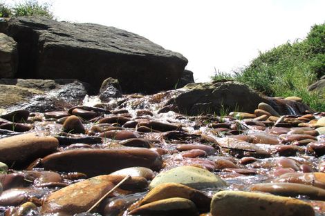 Photo of property in 86 Cargills Road, Barrytown, Runanga, 7873