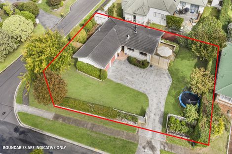 Photo of property in 163 Wellington Street, Pukekohe, 2120