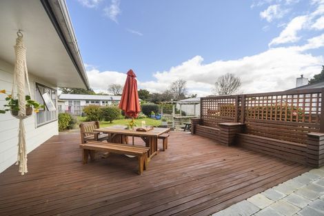 Photo of property in 135 Salisbury Street, Ashhurst, 4810