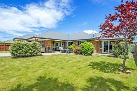 Photo of property in 19 Woodville Street, Leeston, 7632