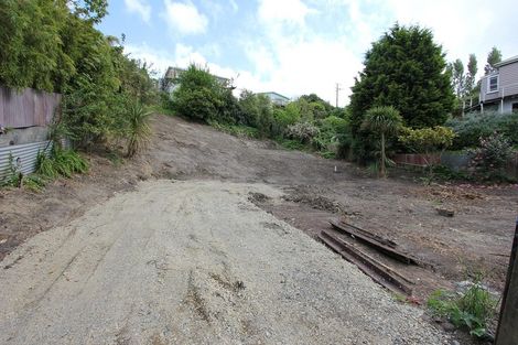 Photo of property in 32 Bellevue Place, Port Chalmers, 9023