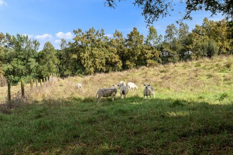 Photo of property in 454 Ngunguru Road, Glenbervie, Whangarei, 0173