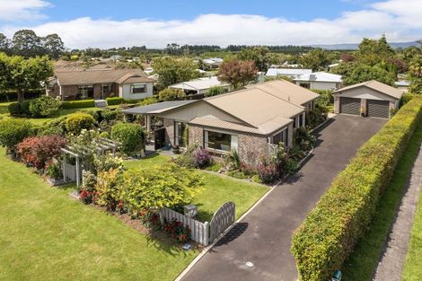 Photo of property in 18 Alexander Street, Katikati, 3129