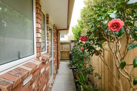 Photo of property in 138b Ferguson Street, West End, Palmerston North, 4412