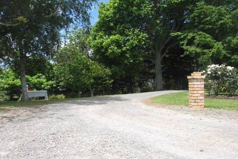 Photo of property in 502 Kauri Point Road, Tahawai, Katikati, 3170