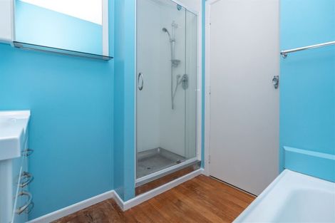 Photo of property in 21 Goodall Street, Dinsdale, Hamilton, 3204