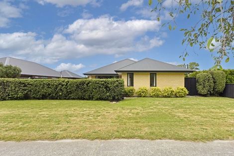 Photo of property in 6 Forbes Street, Pegasus, 7612