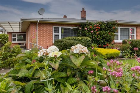 Photo of property in 71a Maxwell Road, Blenheim, 7201