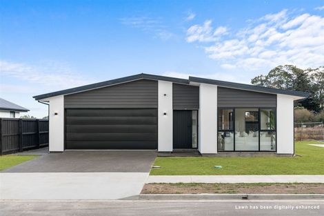 Photo of property in 19 Bastings Street, Kaiapoi, 7630