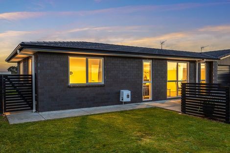 Photo of property in 87 Hinemoa Street, Levin, 5510