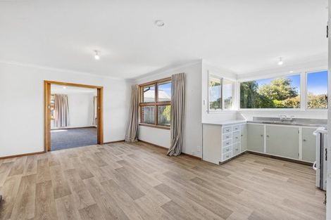 Photo of property in 1 Lowry Street, Waiau, 7332