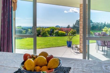 Photo of property in 233 Waipapa Block Road, Whakamarama, Tauranga, 3180