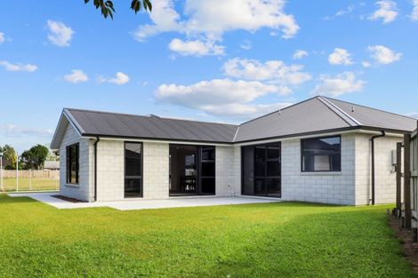 Photo of property in 9 Pourewa Lane, Matamata, 3400