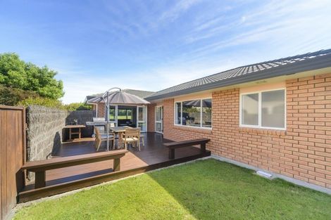 Photo of property in 15 Flemington Lane, Awapuni, Palmerston North, 4412