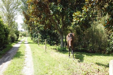 Photo of property in 363 Roydon Downs Road, Paengaroa, Te Puke, 3189