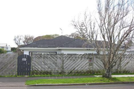 Photo of property in 22 Gaine Street, New Plymouth, 4310