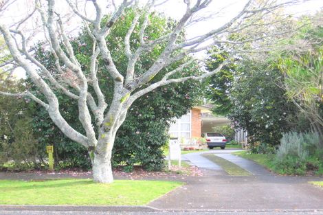 Photo of property in 39 Queenwood Avenue, Queenwood, Hamilton, 3210