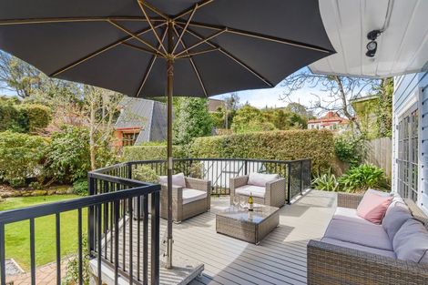 Photo of property in 45 Littlebourne Road, Roslyn, Dunedin, 9010