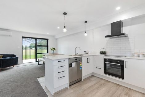 Photo of property in 4 Arawa Street, Frankton, Hamilton, 3204