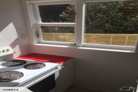 Photo of property in 173 Glenmore Street, Kelburn, Wellington, 6012