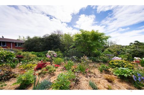 Photo of property in 31 Andrew Street, Marchwiel, Timaru, 7910