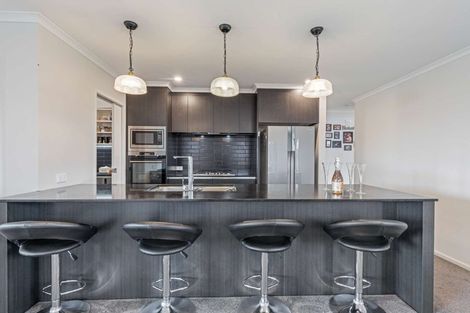 Photo of property in 45 Catalina Crescent, Burleigh, Blenheim, 7201