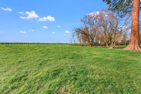 Photo of property in 584a Orari Station Road, Geraldine, 7992