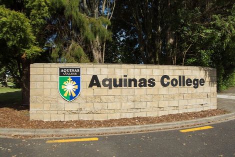 Photo of property in 24 Sauvignon Place, Pyes Pa, Tauranga, 3112