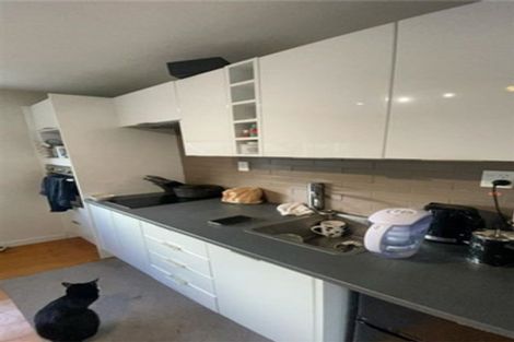 Photo of property in 52 Tuarangi Road, Grey Lynn, Auckland, 1021
