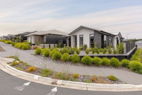 Photo of property in 99 Sentinel Avenue, Omokoroa, 3114