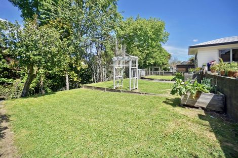 Photo of property in 24 Tynan Street, Te Puke, 3119