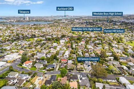 Photo of property in 18 Selwyn Crescent, Forrest Hill, Auckland, 0620