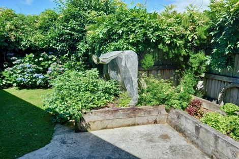 Photo of property in 114d Govett Avenue, Frankleigh Park, New Plymouth, 4310