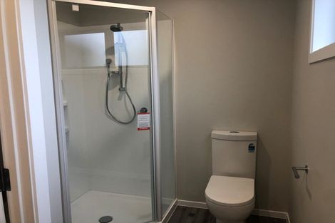 Photo of property in 8 Mcpherson Place, Fairfield, Hamilton, 3214