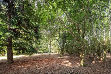 Photo of property in 109 Butcher Road, Matangi, Hamilton, 3284