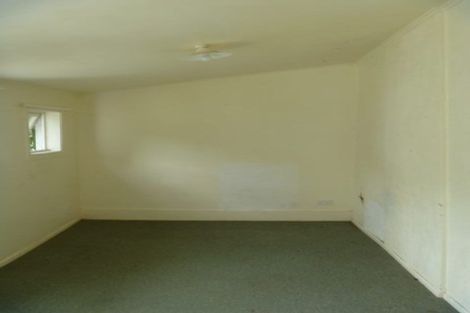 Photo of property in 43 Honiana Te Puni Street, Aro Valley, Wellington, 6021