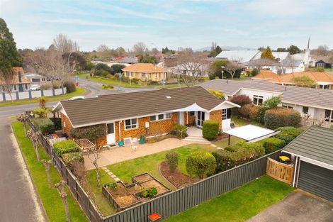 Photo of property in 107 Clarkin Road, Fairfield, Hamilton, 3214