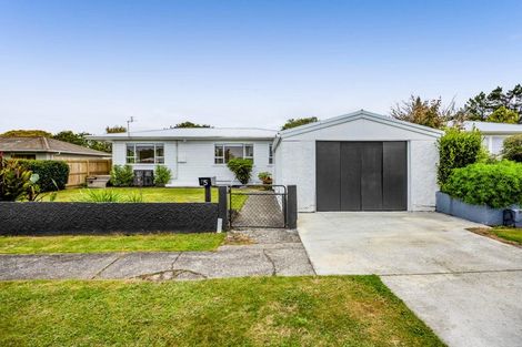 Photo of property in 5 Nikau Street, Inglewood, 4330