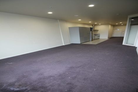 Photo of property in Marrickian Apartment, 117/135 Taranaki Street, Te Aro, Wellington, 6011