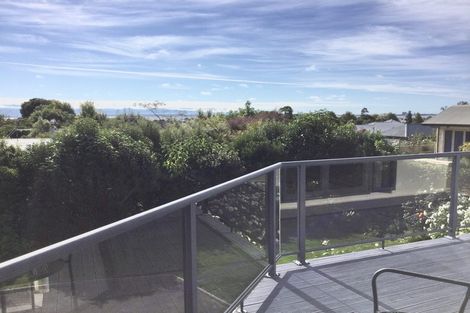 Photo of property in 6 Dartmoor Place, Richmond, 7020