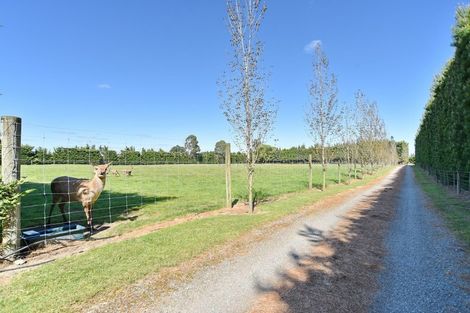 Photo of property in 496 West Melton Road, West Melton, Christchurch, 7676