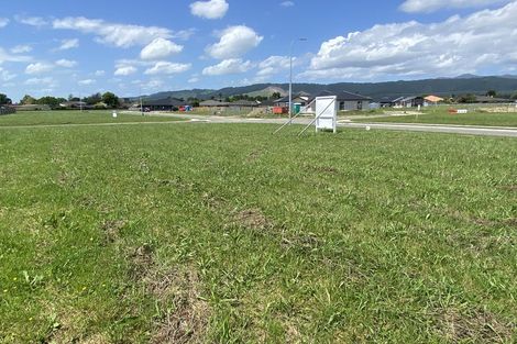 Photo of property in 53 Tainui Street, Levin, 5510