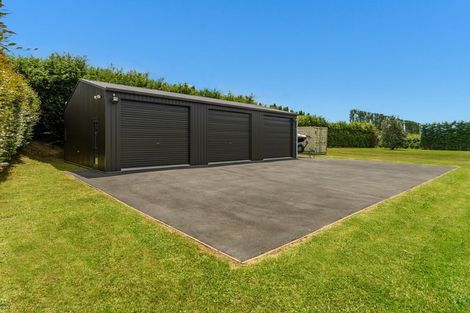 Photo of property in 20 Plane Tree Lane, Tauriko, Tauranga, 3110