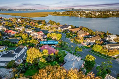 Photo of property in 124 West Harbour Drive, West Harbour, Auckland, 0618