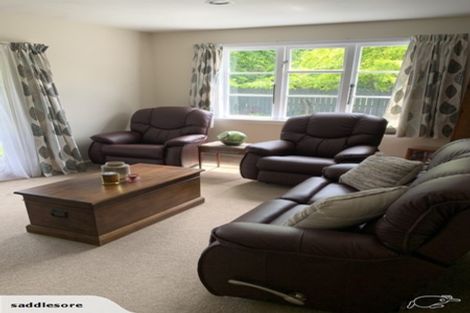 Photo of property in 56 Hastings Street, Southbridge, 7602