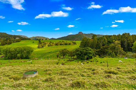 Photo of property in 280c Baldrock Road, Kaiwaka, Maungaturoto, 0587