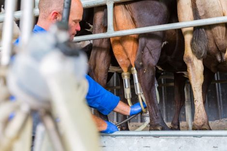 Photo of property in 512 Welcome Bay Road, Welcome Bay, Tauranga, 3175