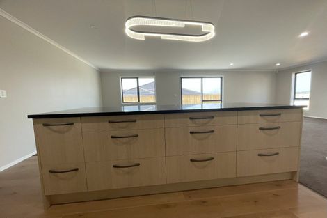 Photo of property in 17 Pipi Crescent, Tuakau, 2121