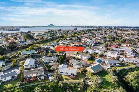 Photo of property in 21 Hinerua Street, Maungatapu, Tauranga, 3112