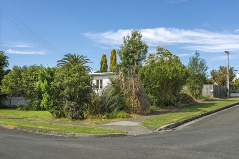 Photo of property in 18 Carnarvon Street, Gisborne, 4010